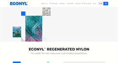 Desktop Screenshot of econyl.com